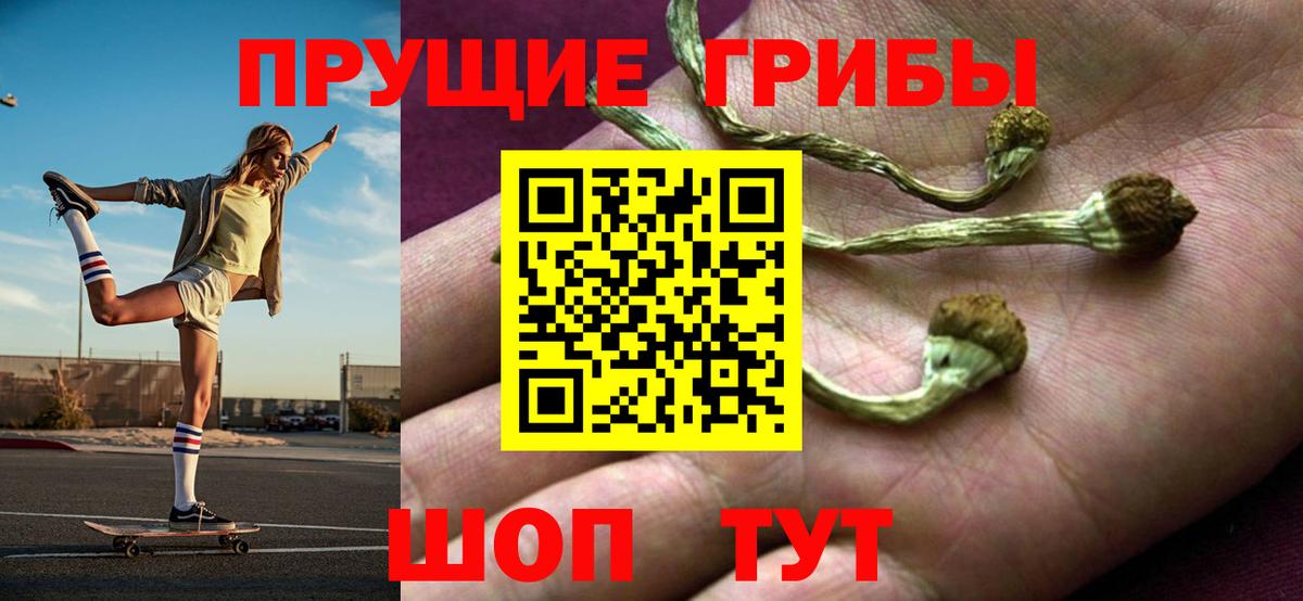 Каменка  закладки  Вход с VPN  Псилоцибиновые грибы ЛСД 